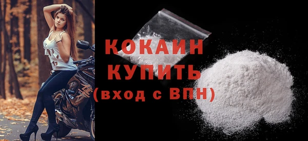 шишки Абинск