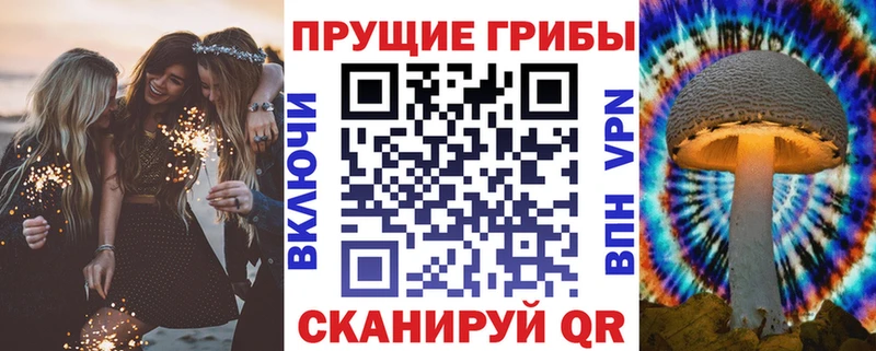 Галлюциногенные грибы Psilocybine cubensis  Кадников 